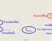 ขายที่ดินใกล้สวนสัตว์ท่ายาง The Field Animals Dream เพชรบุรี 15ไร่ 2งาน54ตารางวา