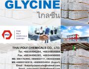 ไกลซีน Glycine อะมิโนอาซีติกแอซิด Aminoacetic acid กรดอะมิโน Amino acid