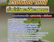 [หนังสือ+File] แนวข้อสอบเจ้าหน้าที่วิเคราะห์นโยบายและแผน กรมพัฒนาที่ดิน