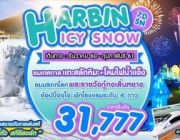 SHE01 HARBIN ICY SNOW 7D5N BY XW