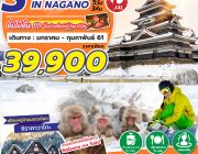 SNOW MONKEY IN NAGANO 5D3N BY JL