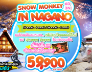 SNOW MONKEY IN NAGANO 6D3N BY TG