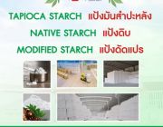 แป้งมันสำปะหลัง สตาร์ชมันสำปะหลัง แป้งดิบ แป้งดัดแปร Tapioca Starch โทร 034