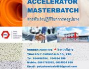 สารตัวเร่งปฏิกิริยา Accelerator สารตัวเร่งปฏิกิริยาการคงรูปยาง Accelerator Ma