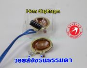 วอยซ์ Voice Horn diaphragm