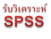 รับวิเคราะห์ข้อมูล SPSS รับทำวิจัย แปลผลทางสถิติ