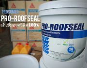 PRO-ROOFSEAL อะคริลิคกันซึม อิมัลชั่น 100% ชนิดยืดหยุ่นสูง