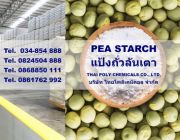 แป้งถั่วลันเตา Pea Starch จำหน่ายแป้งถั่วลันเตา นำเข้าแป้งถั่วลันเตา ขายแป้ง