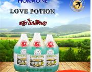 LOVE POTION AROMA ฮอร์โมนดึงนกนอน