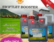 ฮอร์โมนนกนางแอ่น SWIFTLET BOOSTER