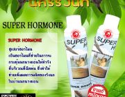 ฮอร์โมนนกนางแอ่น Super Hormone