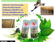 Swiftlet Booster ฮอร์โมน