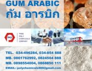 กัม อารบิก Gum Arabic อารบิก กัม Arabic Gum Acacia Senegal Acacia Gum