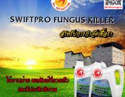 น้ำยากำจัดเชื้อรา SWIFTPRO FUNGUS KILLER