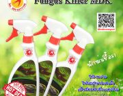 น้ำยากำจัดเชื้อรา fungus killer MDK